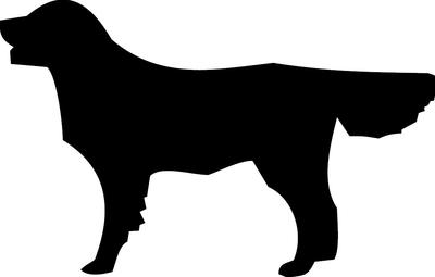LOGO_HUNDEFLYER