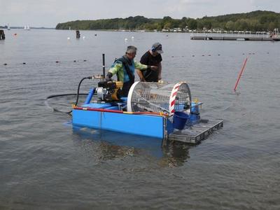 Umweltservice SASIBA befreit die Nichtschwimmerzone des Strandbades Schlo&szlig;wiese von Gefahrenquellen