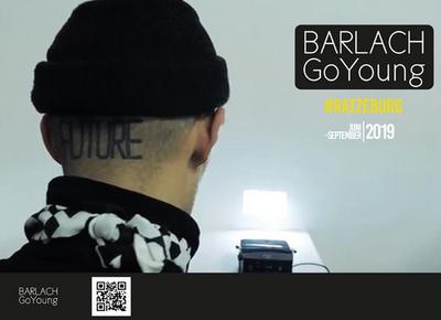 "Barlach GoYoung" - Jugend-Kultur-Programm in Ratzeburg