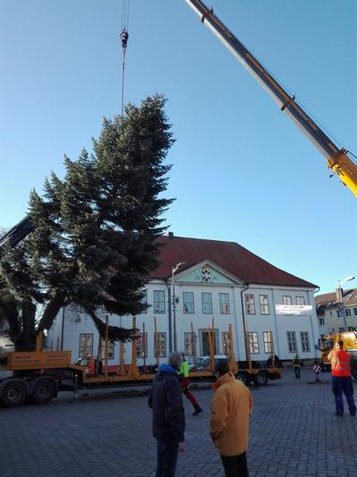 Bauhofleiter Holger Rickert-Buttgereit (li.I und B&uuml;rgervorsteher Ottfried Feu&szlig;ner verfolgen das Aufstellen des Weihnachtsbaumes auf dem Marktplatz