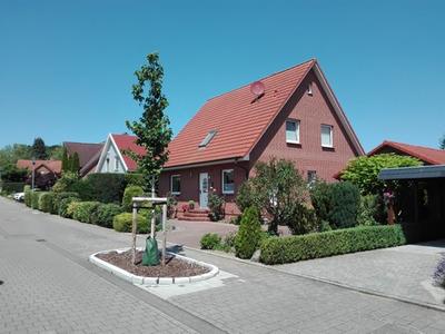 Versuchsfeld im Ferdinand-Sauerbruch-Weg testet bessere Koexistenz von B&auml;umen und Verkehrswegen