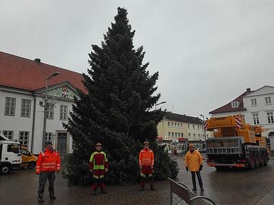 Ein Weihnachtsbaum schm&uuml;ckt den Ratzeburger Marktplatz