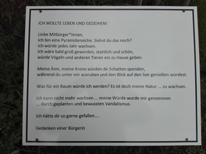 Bild vergr&ouml;&szlig;ern: Hinweistafeln beschreiben den wiederkehrenden Baumfrevel 
