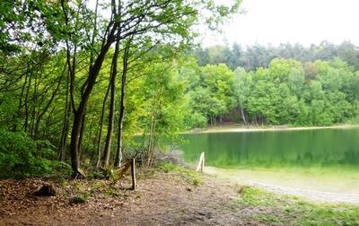 Verantwortungsbewusstes Verhalten beim Baden und Spazierengehen am Garrensee