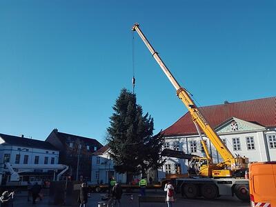Ein sch&ouml;ner Weihnachtsbaum ziert den Ratzeburger Marktplatz