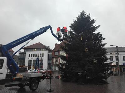 Ratzeburger Weihnachtsbaum wird geschmückt