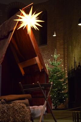 Weihnachtsbaum im Ratzeburger Dom