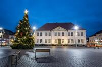 Bild vergrößern: Einen ähnlich schönen Weihnachtsbaum sucht der Bauhof der Stadt Ratzeburg für die Weihnachtssaison 2022