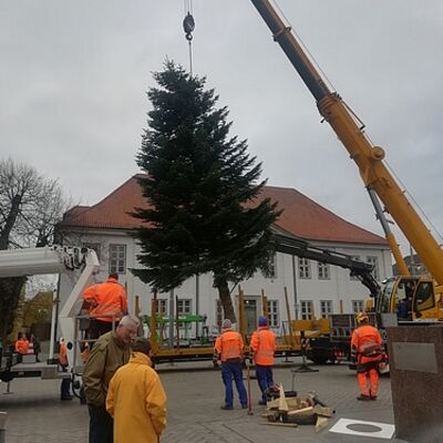 Ratzeburgs Weihnachtsbaum schwebt über dem Marktplatz