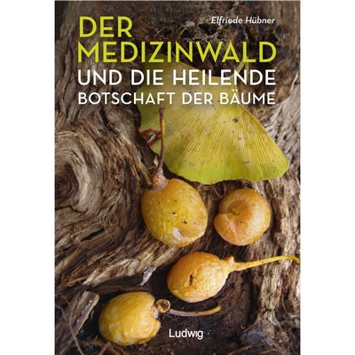 'Der Medizinwald und die heilende Botschaft der Bäume' - das neue Buch von Elfriede Hübner ist in der Stadtbücherei ausleihbar