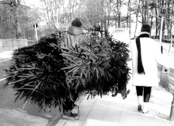 Bild vergrößern: Archivale 10/2023 - Fotos aus dem Nachlass von Hans-Jürgen Wohlfahrt - Ratzeburg schmückt sich für Weihnachten