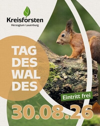 Tag des Waldes